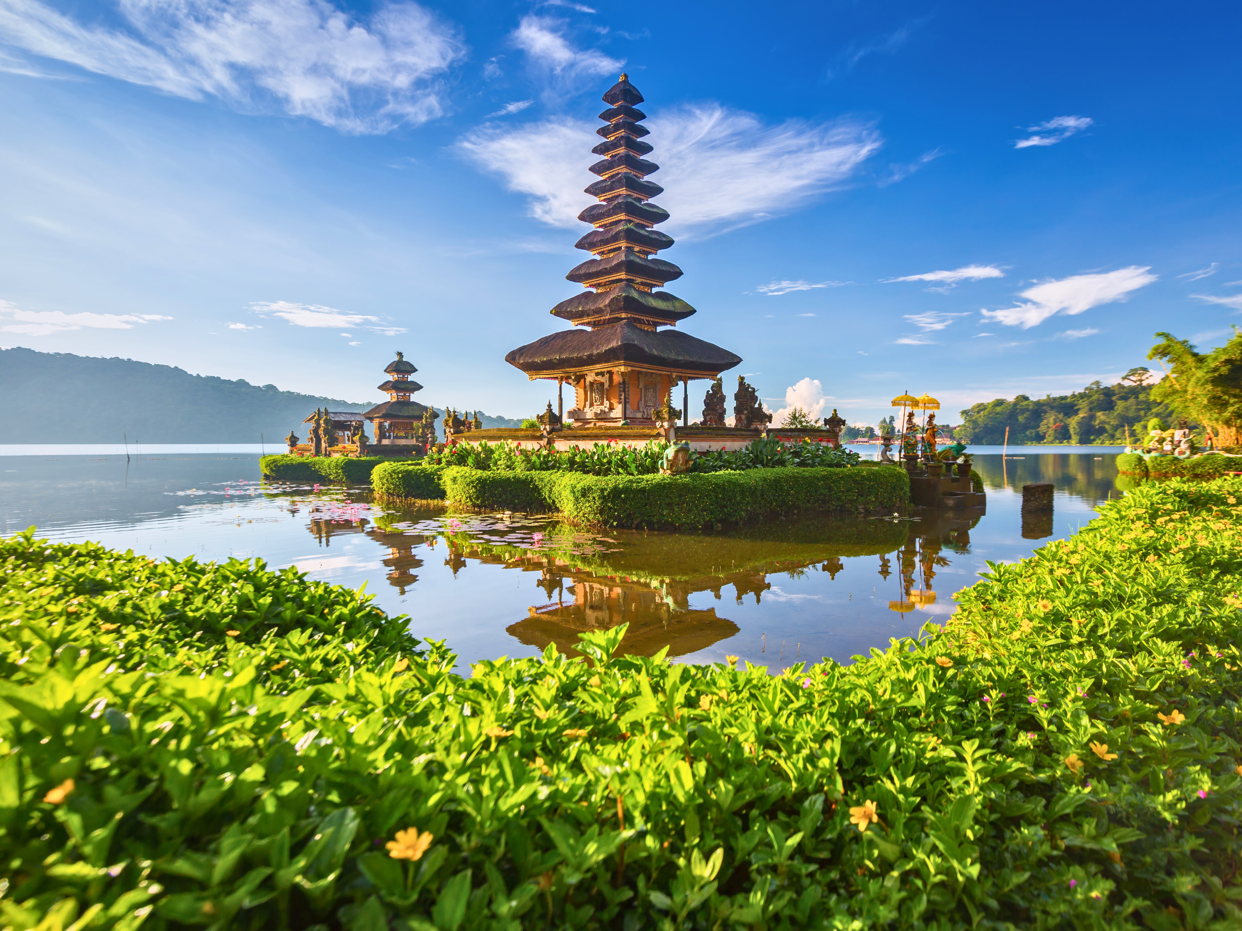 Untitled design (33)