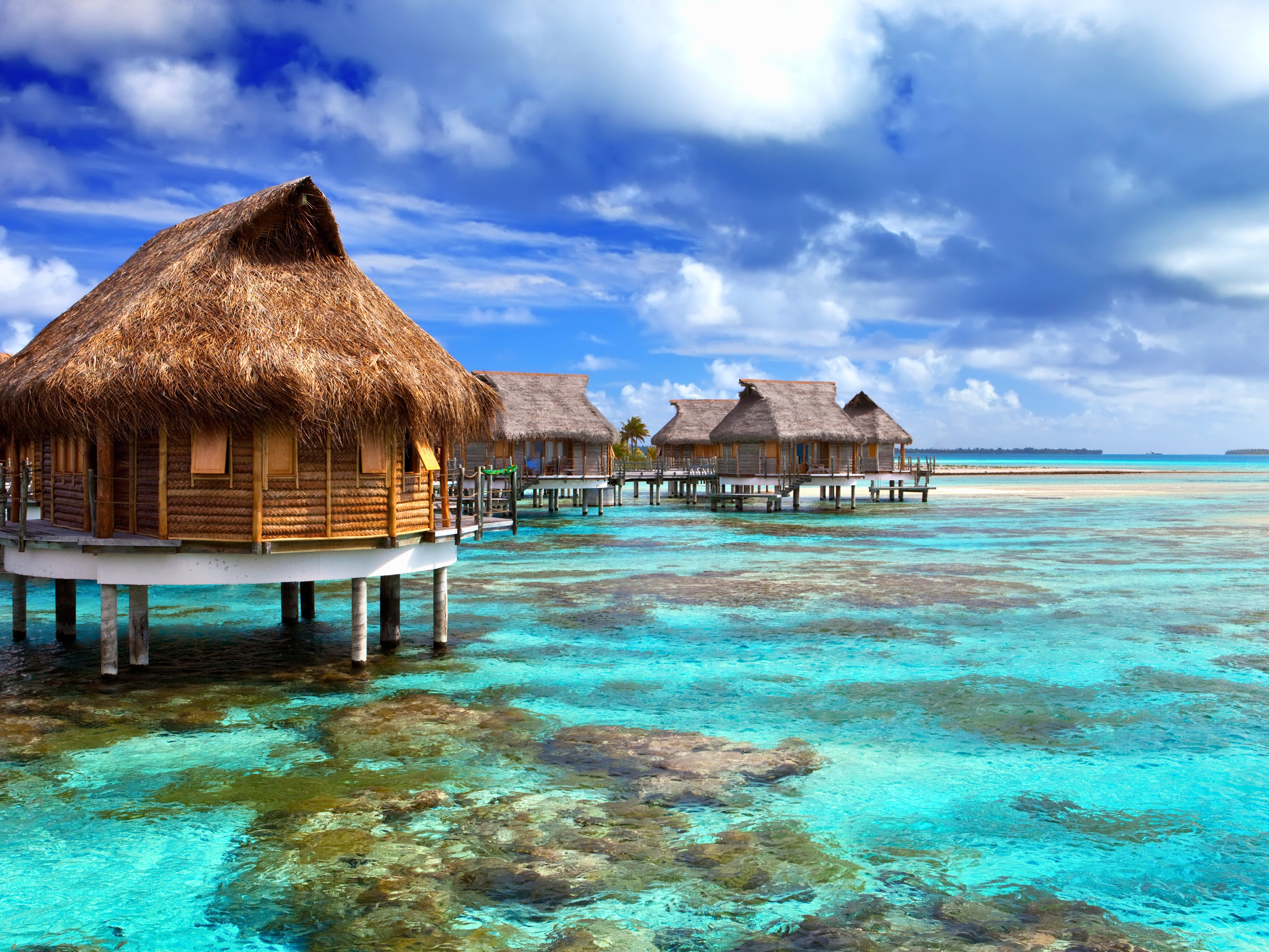 Untitled design (47)