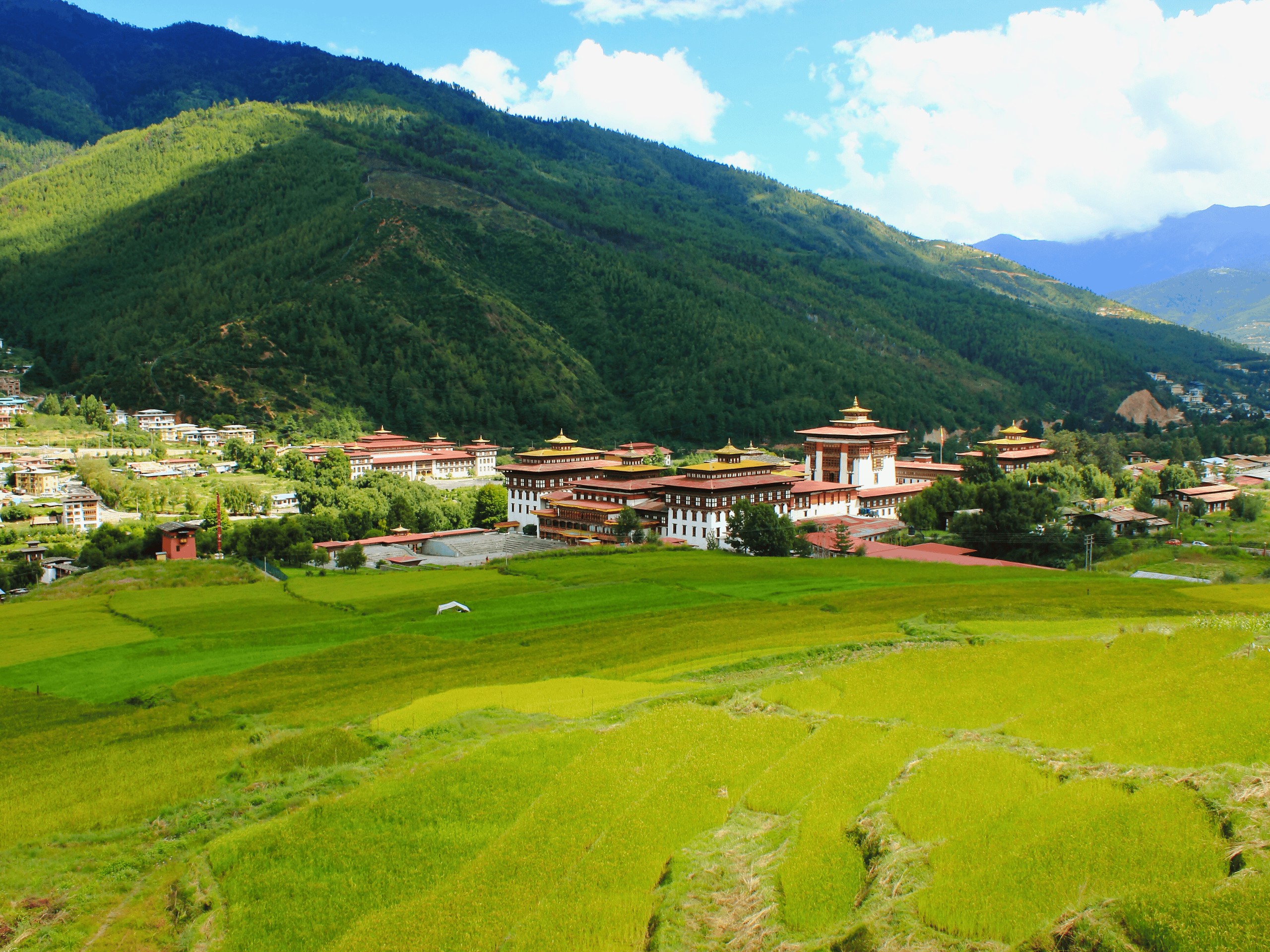 Untitled design (51)