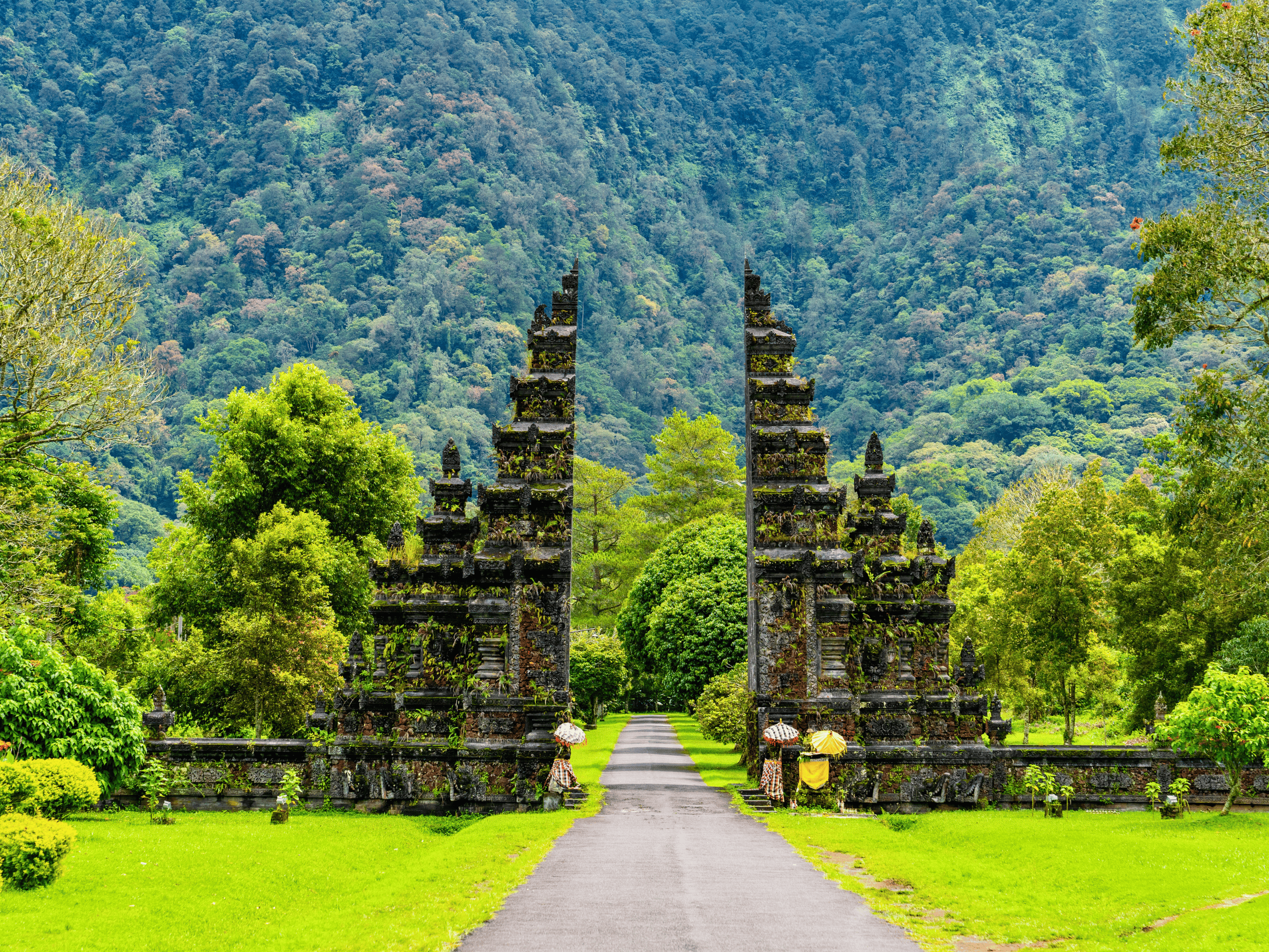 Untitled design (54)