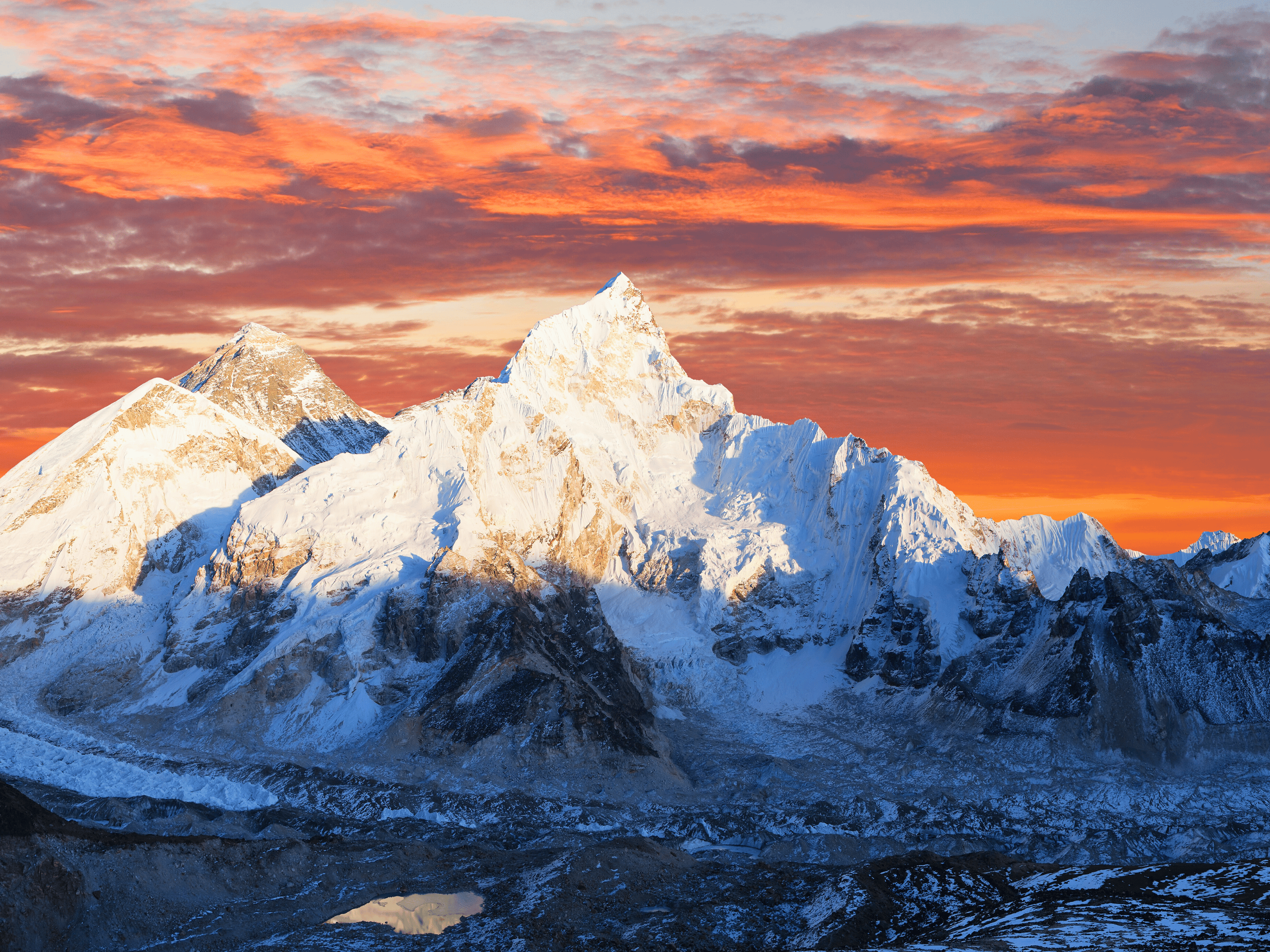 Untitled design (59)