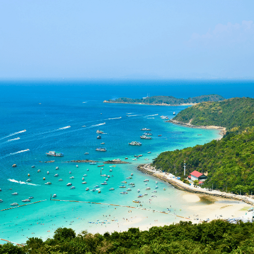 Bangkok & Pattaya with Coral Island Tour : 4N/5D